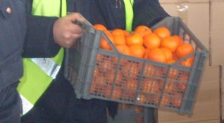 Най разпространените цитрусови плодове по това време на годината като портокали