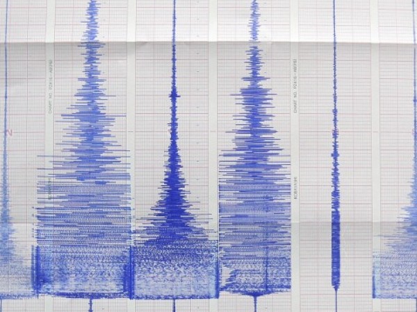 Земетресение с магнитуд от 4,8 по Рихтер е било регистрирано