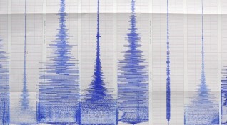 Земетресение с магнитуд от 4 8 по Рихтер е било регистрирано