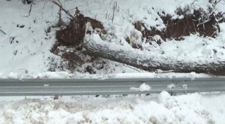 Проходът Петрохан е затворен за движение и в двете посоки