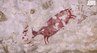 Археолози откриха най старата в света пещерна рисунка на животно в