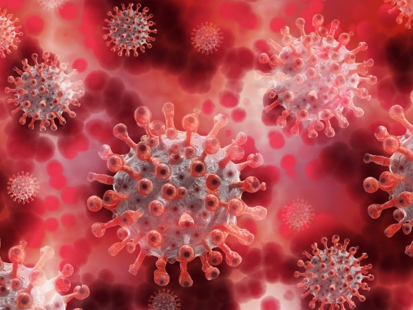 Нова мутация на коронавируса е открита в южната част на