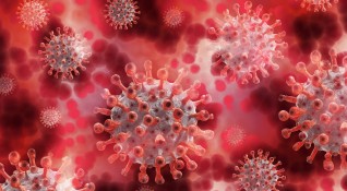 Нова мутация на коронавируса е открита в южната част на