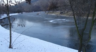 Езерото в парк Бачиново над Благоевград замръзна вследствие на температурите