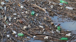 Започна разчистването на събралите се отпадъци по река Струма край