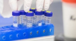 PCR тестовете не улавят новата мутация на Ковид 19 Колко по страшна
