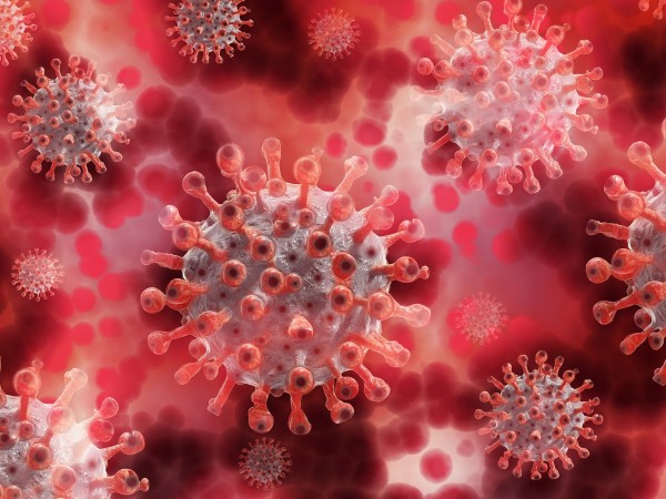 "Досега няма доказани грипни вируси, което е необичайно. Предишни сезони