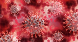 Досега няма доказани грипни вируси което е необичайно Предишни сезони
