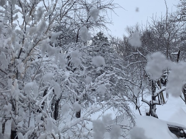 Поради обилните снеговалежи през изминалата нощ в област Хасково и