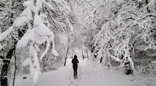 Поради обилния снеговалеж и усложнена метеорологична обстановка в планината Витоша