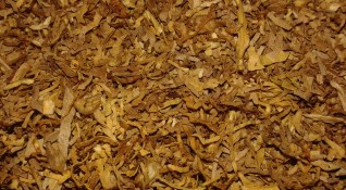 210 килограма нелегален тютюн е иззет при операция на икономическа