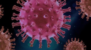 Нови щамове на коронавируса изправят света пред нови предизвикателства Фармацевтични