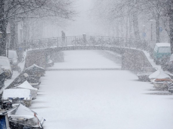 В Нидерландия голяма снежна буря доведе до хаос в железопътния