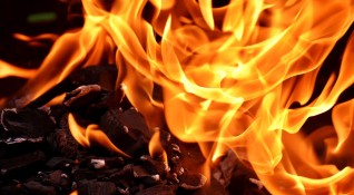 Пожар изпепели храната на почти 1000 животни Огънят в селското