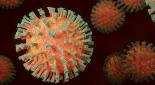 Френски молекулярни биолози изследвали взаимодействието на антитела срещу новия коронавирус