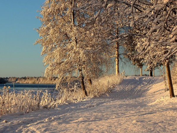 Финландците, които се стремят да избягват спортните зали тази зима