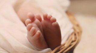 239 успешни бременности са реализирани в ин витро клиниката на