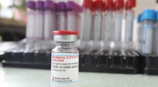 Проучването на последните ваксини за коронавирус е направено върху огромен