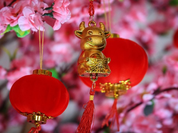 Китайската нова година настъпи. Тя ще продължи до 31 януари