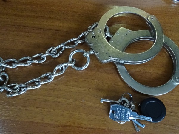 Полицията в Добрич залови 19-годишен сериен крадец на оборота на