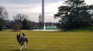 Американският президент Джо Байдън е върнал и двете си кучета