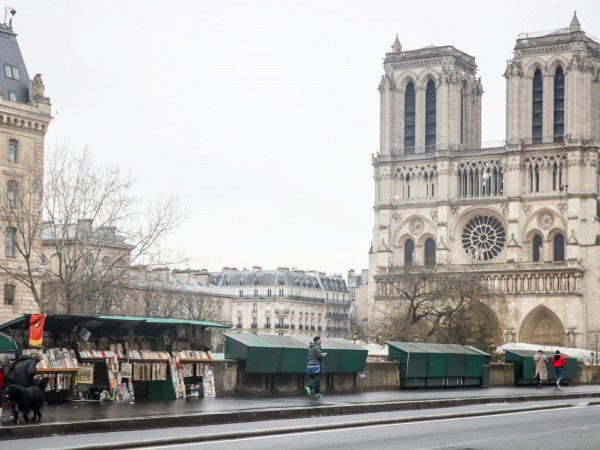 Край Париж започна изсичането на вековни дъбове, които ще послужат