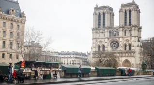 Край Париж започна изсичането на вековни дъбове които ще послужат