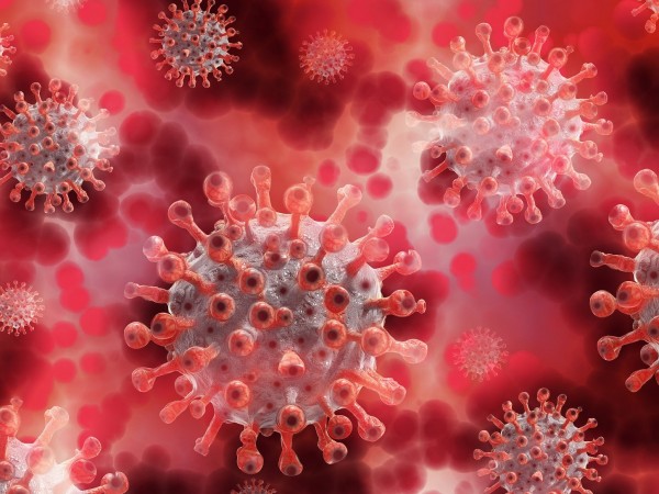 Китайските учени спират да разглеждат версията, че коронавирусът е изтекъл