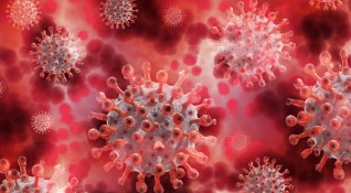 Китайските учени спират да разглеждат версията че коронавирусът е изтекъл