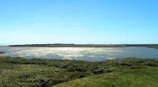 В Дуранкулашкото езеро са открити и иззети 30 броя винтери