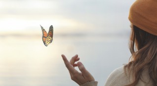 Пеперудите са едни от най красивите насекоми символизиращи ново начало свобода