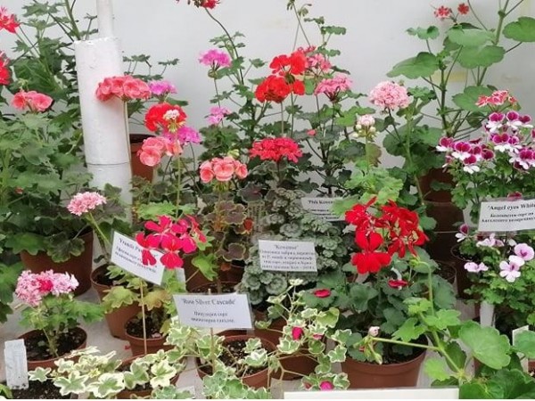 Ботаническата градина на Българската академия на науките (БАН) кани всички