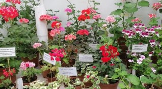 Ботаническата градина на Българската академия на науките БАН кани всички
