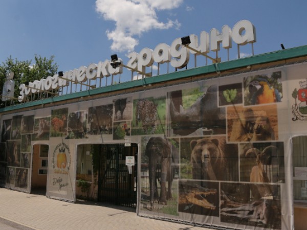 В зоопарковете в България се отглеждат животни без лиценз и