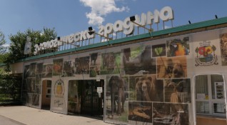 В зоопарковете в България се отглеждат животни без лиценз и