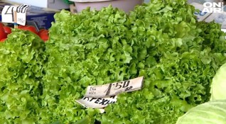 Зелените салати по столичните пазари са пълни с ешерихия коли