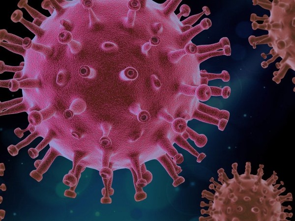 Произходът на новия коронавирус все още не е неясен и