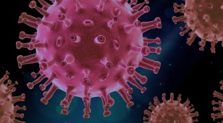 Произходът на новия коронавирус все още не е неясен и