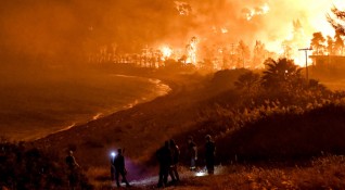 Стотици гръцки пожарникари се бориха за овладяването на голям горски