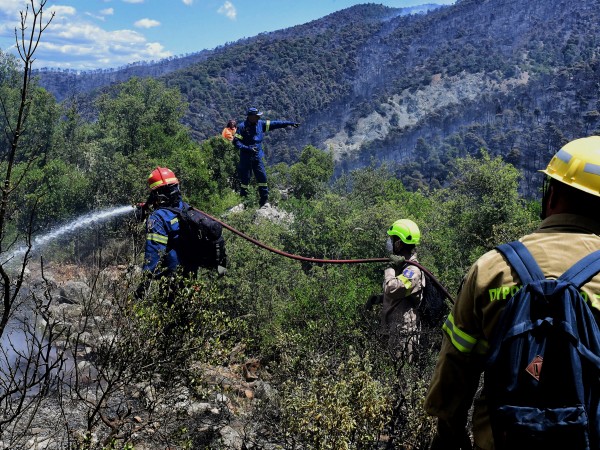 Над 270 пожарникари продължават и днес, за трети пореден ден,