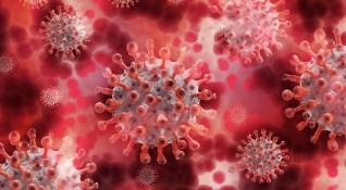 Ново проучване показва че пациентите които са прекарали коронавируса дори