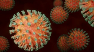 Виетнам съобщи за нова мутация на коронавируса Той представлява хибрид