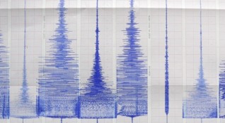 Земетресение с магнитуд 5 9 е регистрирано в Тихия океан край