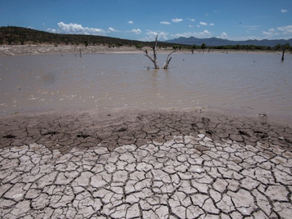 Недостигът на вода и засушаването могат да нанесат щети от