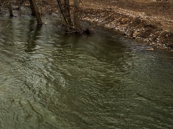 12-годишно дете се удави в изкоп в гората край девненския
