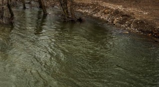 12 годишно дете се удави в изкоп в гората край девненския