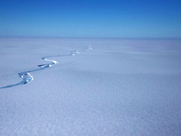 Световната метеорологична организация призна рекорд за максимална температура за Антарктида