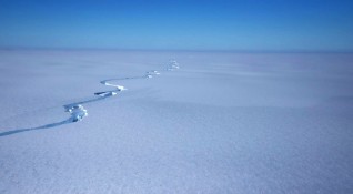 Световната метеорологична организация призна рекорд за максимална температура за Антарктида