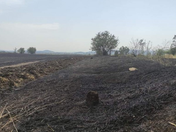 Голям пожар в Пловдивско унищожи близо 300 декара житни масиви.