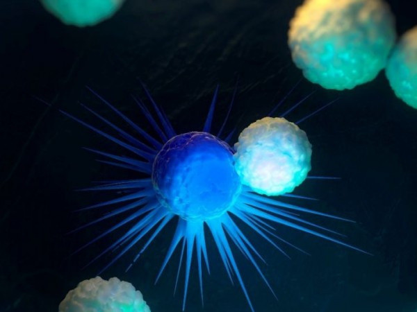 Имунната система ни предпазва от нашественици, чужди клетки и злокачествени